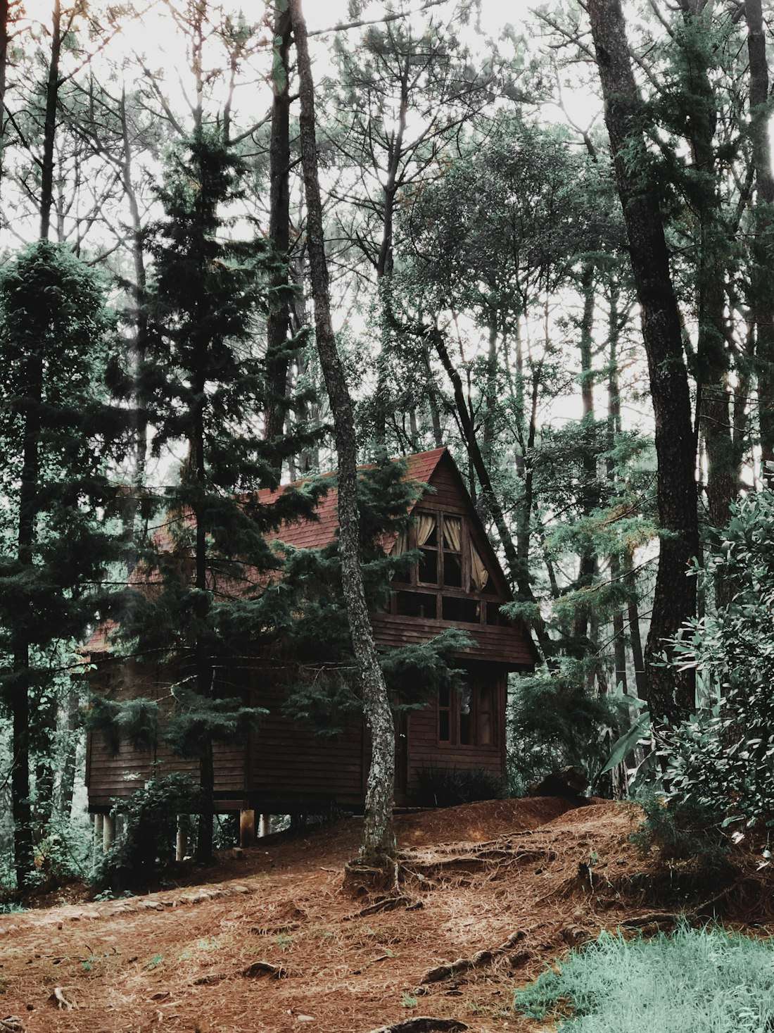 Cabaña Bosque